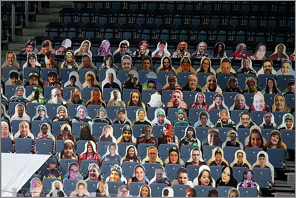 PENNY DEL;  Koelner Haie - Fischtown Pinguins Bremerhaven; Koeln, 12.02.2021